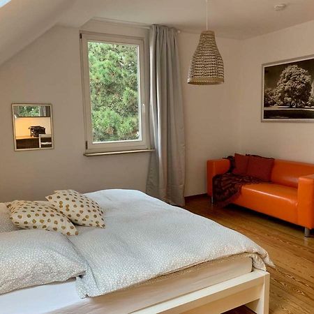 Deluxe Business City Apartments Metzingen Villa Landenberger מראה חיצוני תמונה