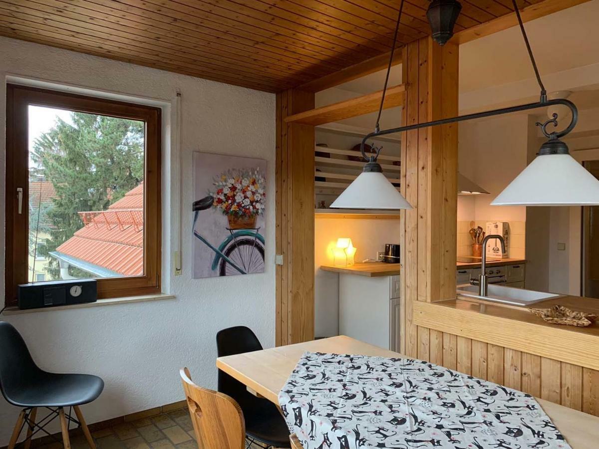 Deluxe Business City Apartments Metzingen Villa Landenberger מראה חיצוני תמונה