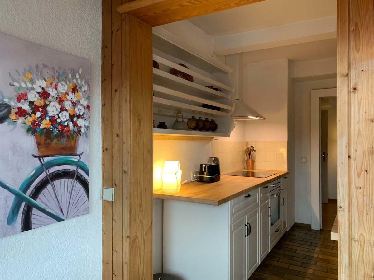 Deluxe Business City Apartments Metzingen Villa Landenberger מראה חיצוני תמונה