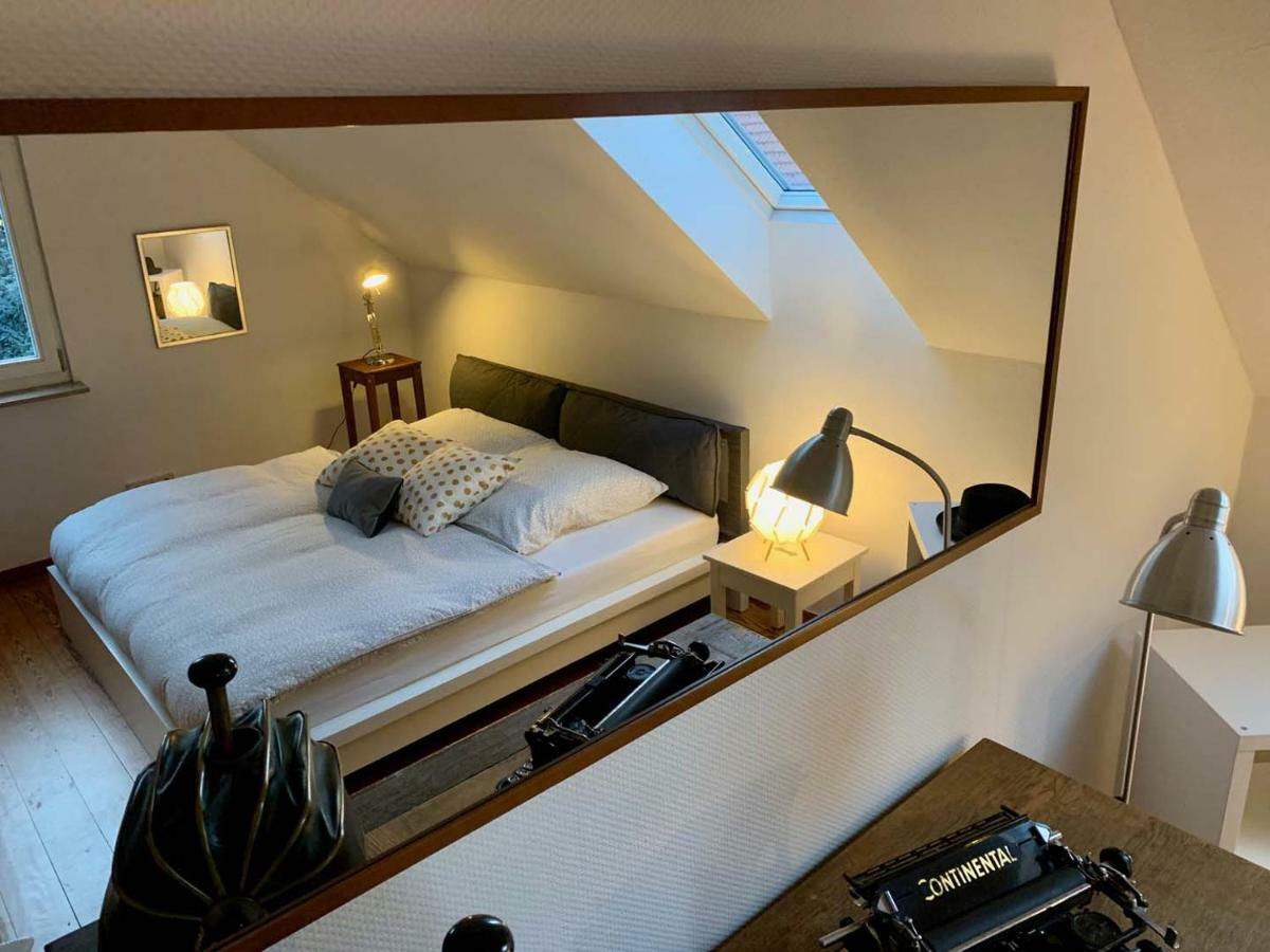 Deluxe Business City Apartments Metzingen Villa Landenberger מראה חיצוני תמונה