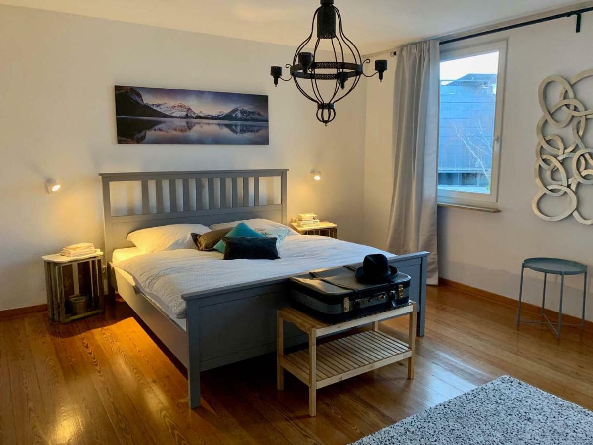 Deluxe Business City Apartments Metzingen Villa Landenberger מראה חיצוני תמונה