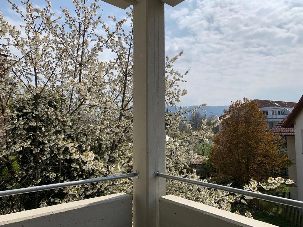 Deluxe Business City Apartments Metzingen Villa Landenberger מראה חיצוני תמונה